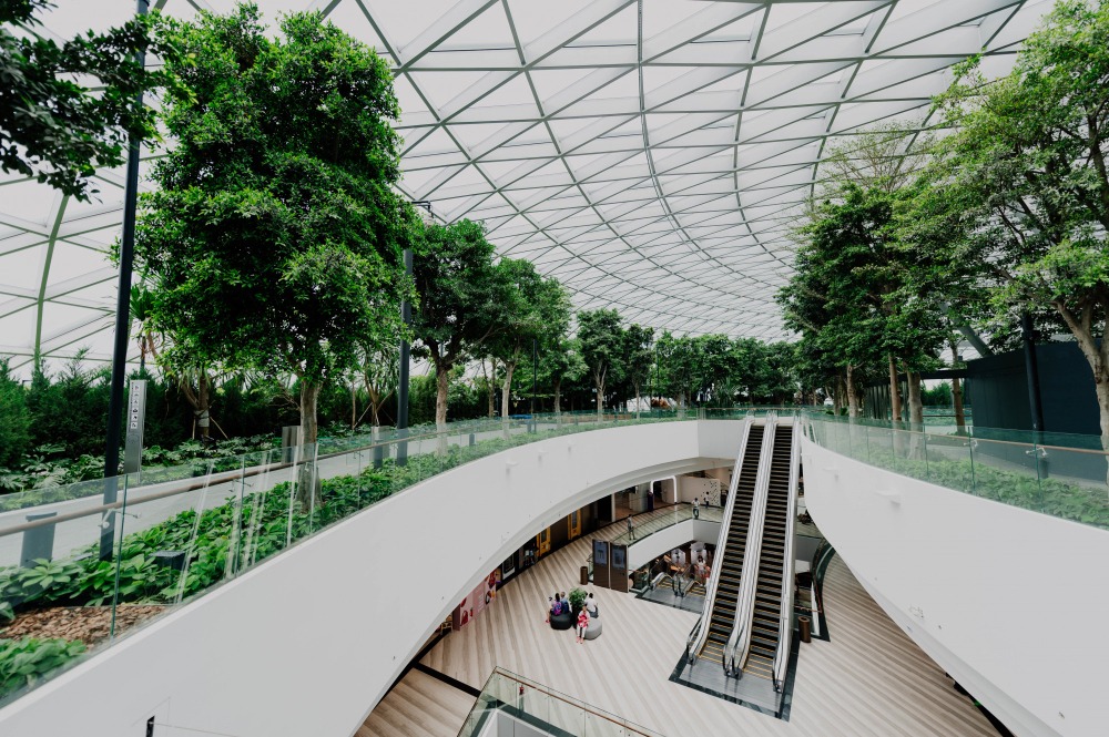 From sustainability strategy to real urban practice – SUP4SUD Newsletter #2